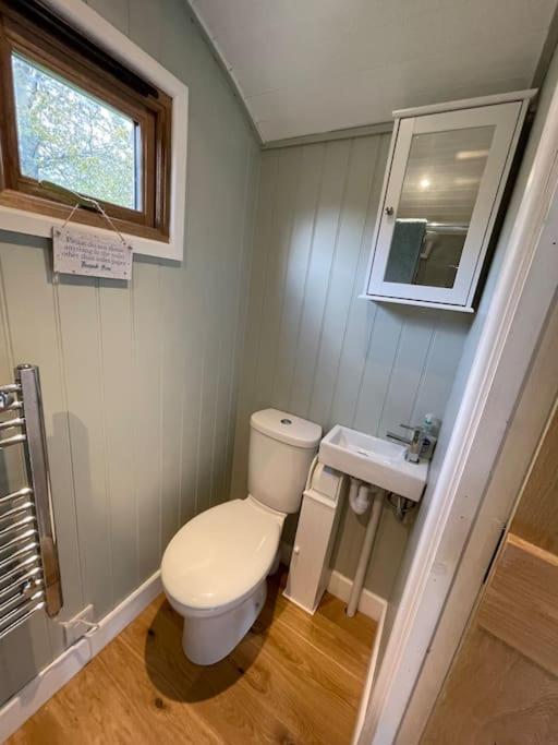 Forest View Shepherd Hut Ewhurst 외부 사진