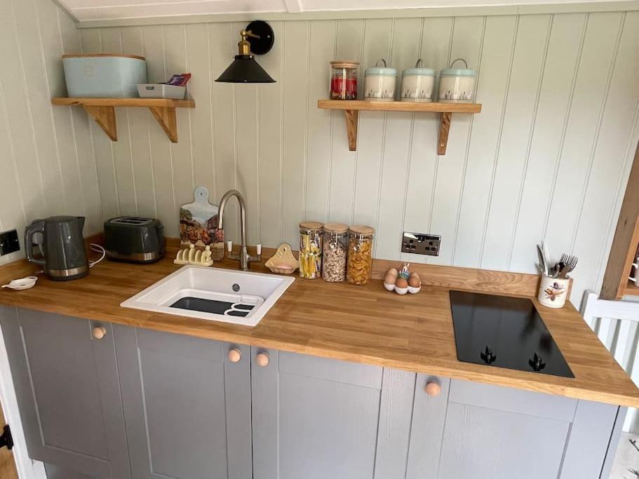 Forest View Shepherd Hut Ewhurst 외부 사진