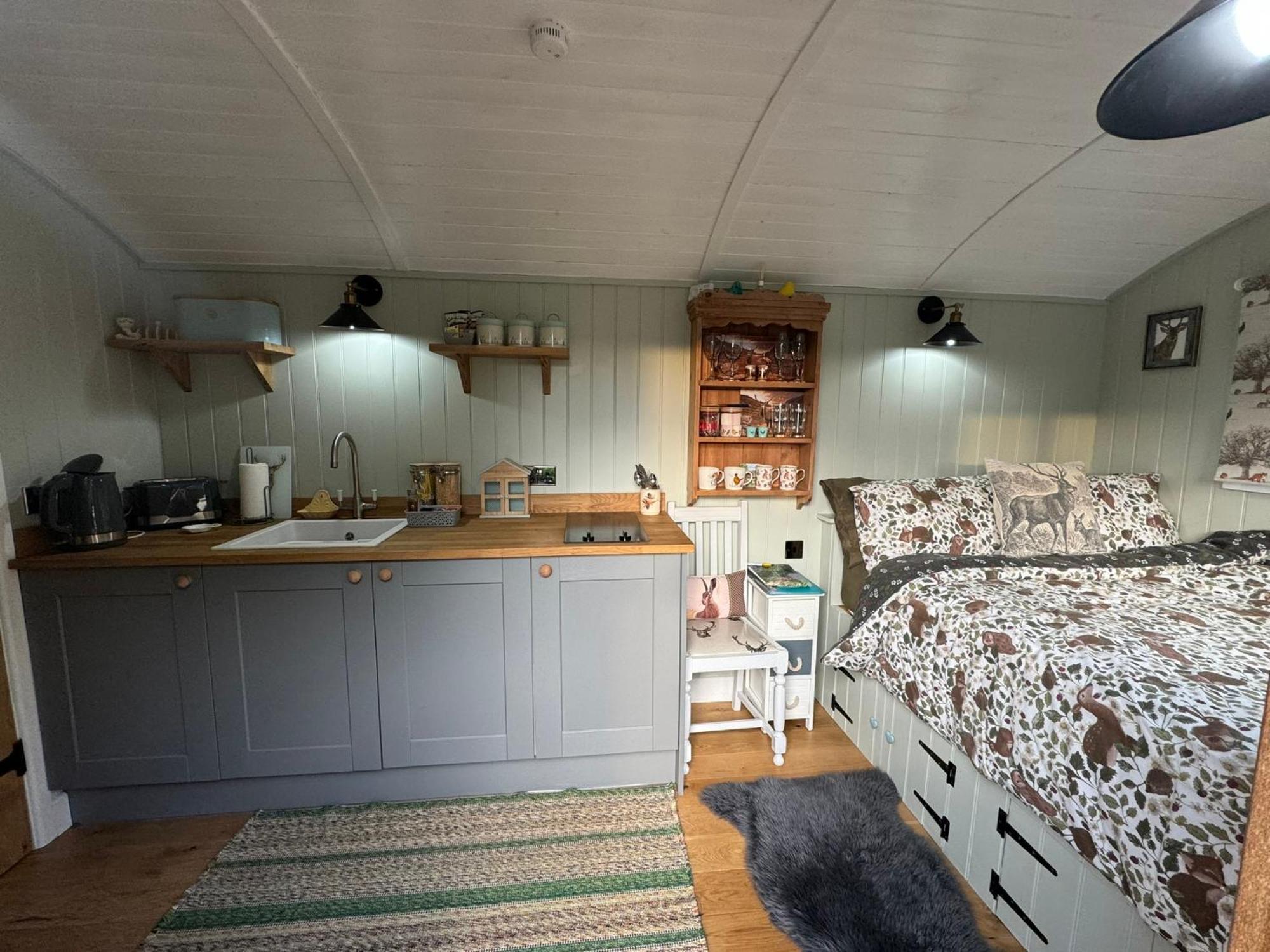 Forest View Shepherd Hut Ewhurst 외부 사진