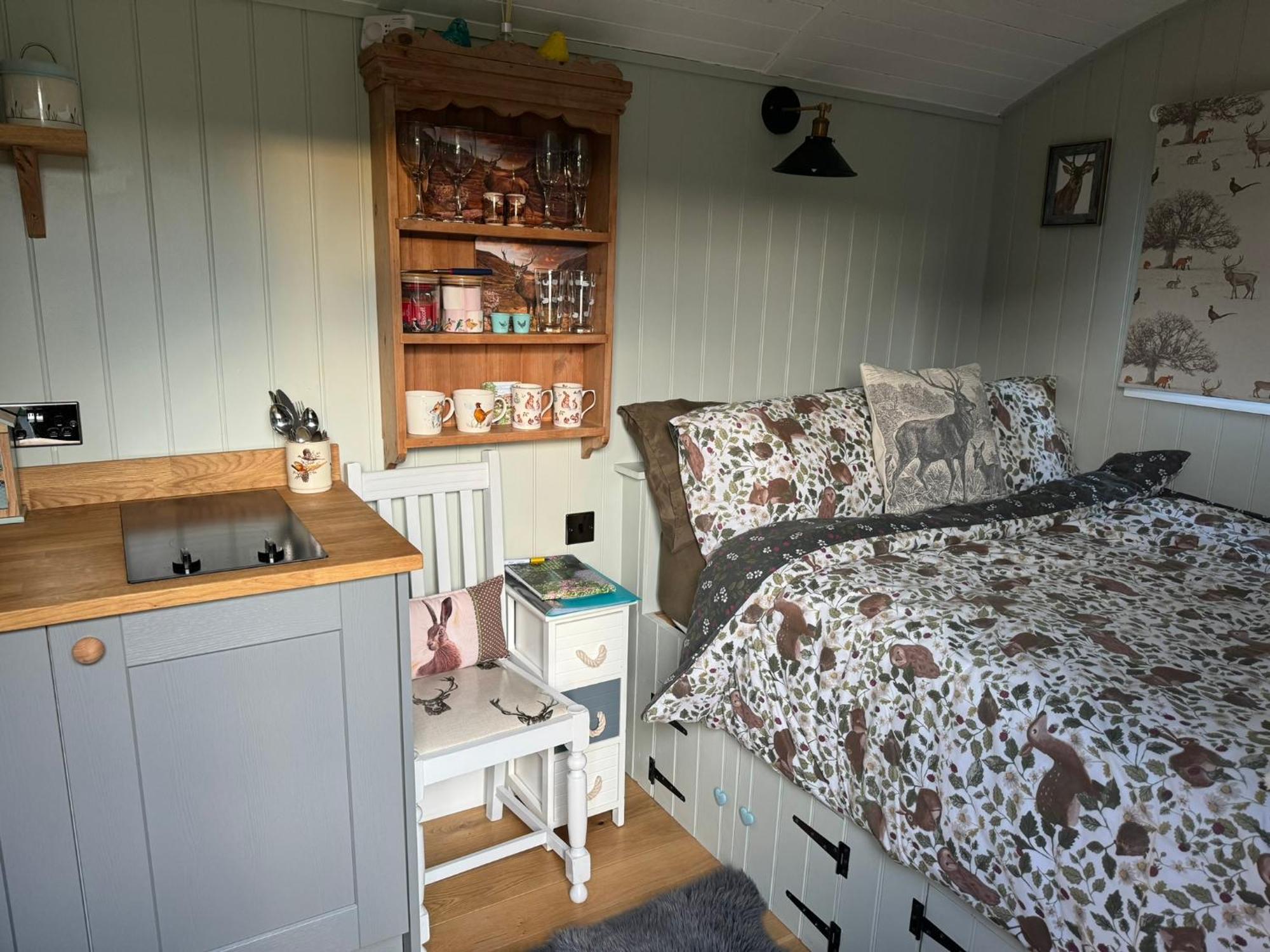 Forest View Shepherd Hut Ewhurst 외부 사진